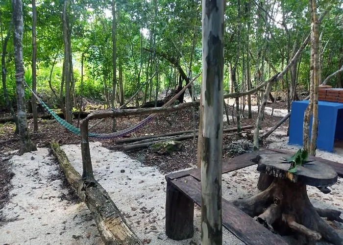 Enjoy Nature, La Quinta Azul Is The Place * Puerto Morelos