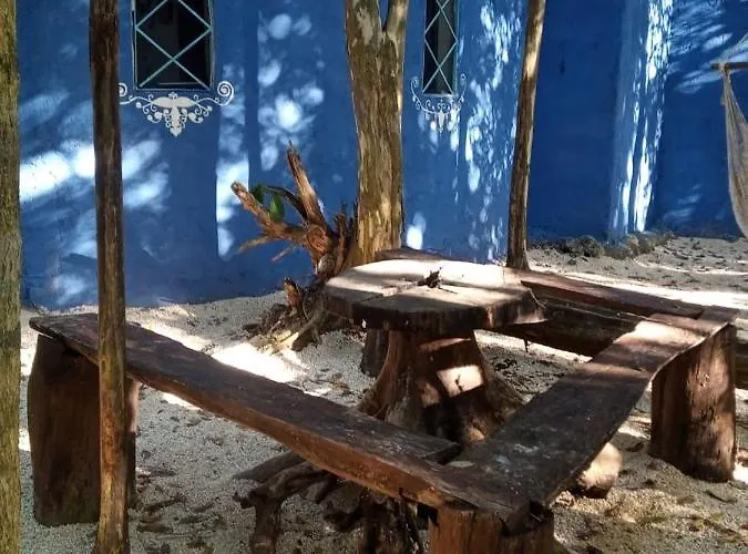 Enjoy Nature, La Quinta Azul Is The Place Puerto Morelos